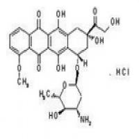 Epirubicin Epirubicin