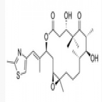 Epothilone Epothilone