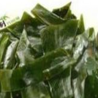 Fucoxanthin Fucoxanthin