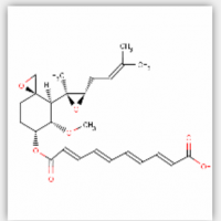 Fumagillin Fumagillin