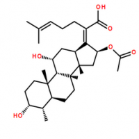 Fusidic Acid Fusidic Acid