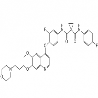 GSK 1363089 GSK 1363089