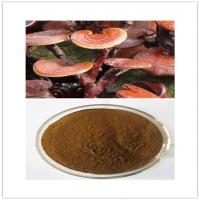 Ganoderma lucidum Extract Ganoderma lucidum Extract
