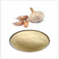 Garlic Extract Garlic Extract