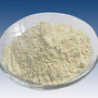 Gastric Mucin Gastric Mucin