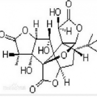 Ginkgolide B Ginkgolide B