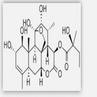 Glaucarubin Glaucarubin