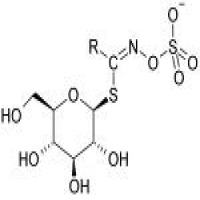 Glucosinolates