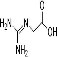 Glycocyamine Glycocyamine