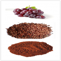 Grape Seed Extract