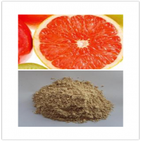 Grapefruit Seed Extract