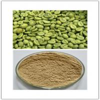 Green coffee bean Extract