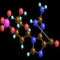 Guanine Guanine
