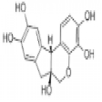 Haematoxylin Haematoxylin