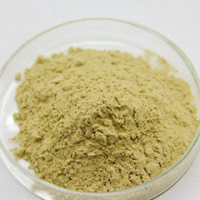 Hami Melon Extract