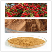 Hawthorn Fruit Extract Hawthorn Fruit Extract