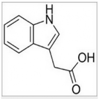 Heteroauxin Heteroauxin
