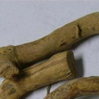 Heterophyllous Wing Seedtree Root Extract Heterophyllous Wing Seedtree Root Extract