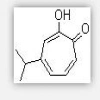 Hinokitiol Hinokitiol