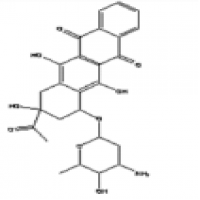 Idarubicin Idarubicin