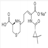 Imipenem and Cilastatin Sodium Imipenem and Cilastatin Sodium