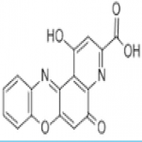 Imipraminum Imipraminum