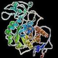 Inosine 5′-Monophosphate Dipotassium Salt