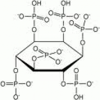 Inositol Hexaphosphate