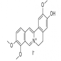 Jatrorrhizine Jatrorrhizine