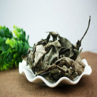 Kacip Fatima Extract Kacip Fatima Extract