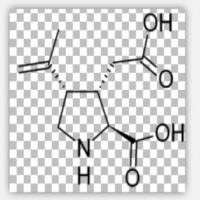 Kainic Acid Kainic Acid