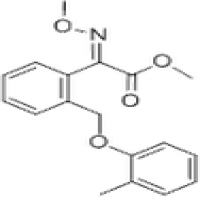 Kresoxim-methyl Kresoxim-methyl