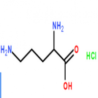 L(+)-Ornithine hydrochloride L(+)-Ornithine hydrochloride