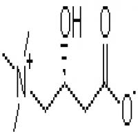 L-Carnitine Base L-Carnitine Base