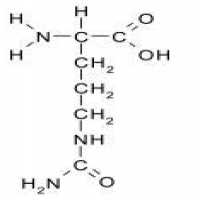 L-Citrulline L-Citrulline
