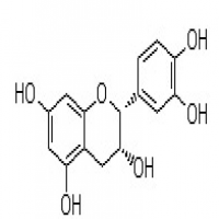 L-Epicatechin L-Epicatechin