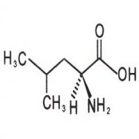 L-Leucine Uses/Benefits