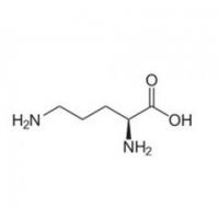 L-Ornithine Monohydrochloride L-Ornithine Monohydrochloride