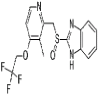 Lansoprazor Lansoprazor