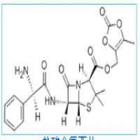 Lenampicillin Hydrochloride Lenampicillin Hydrochloride