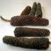 Long pepper fruit