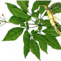 Low pesticide residues ginseng extract