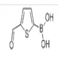 Lumbrukinase Lumbrukinase
