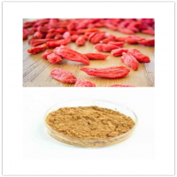 Lycium barbarum L Lycium barbarum L
