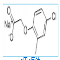 MCPA Sodium MCPA Sodium