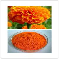 Marigold Extract