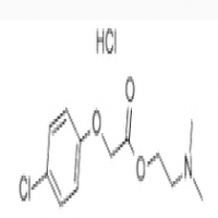 Meclofenoxate hydrochloride Meclofenoxate hydrochloride
