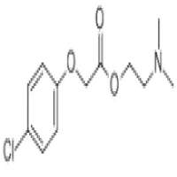 Meclofenoxate Meclofenoxate