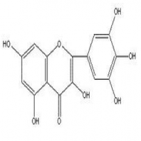 Myricetin Myricetin