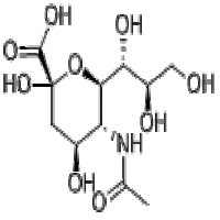 N-acetylneuraminicacid N-acetylneuraminicacid
